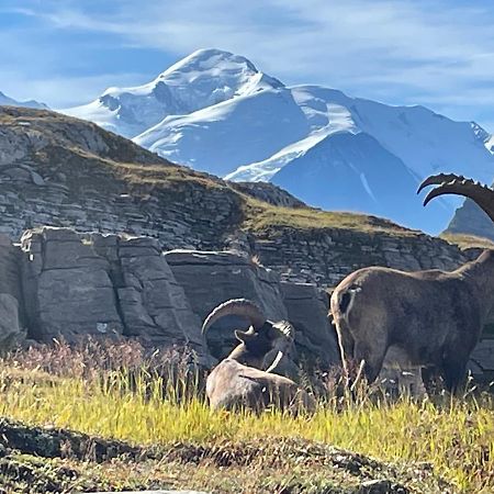 Résidence Les Chardons Argentés 2 Samoëns Exterior foto