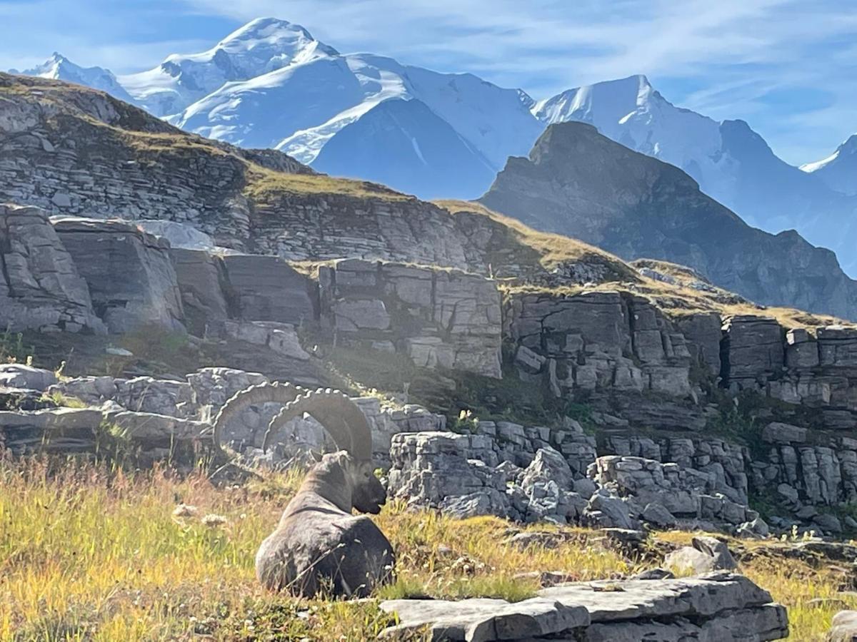 Résidence Les Chardons Argentés 2 Samoëns Exterior foto