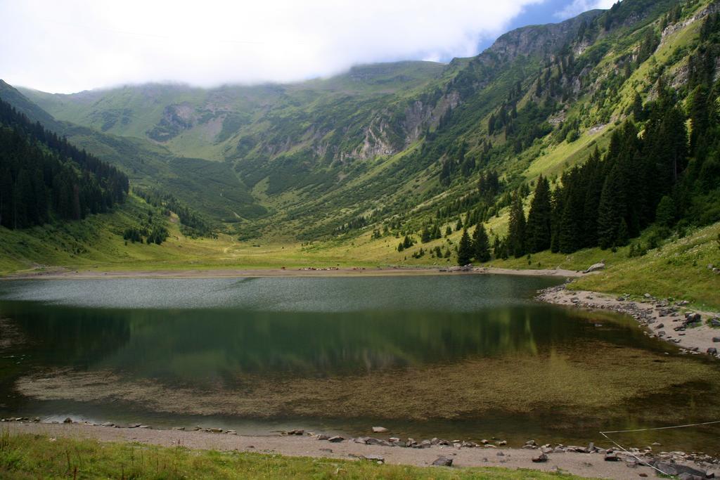 Résidence Les Chardons Argentés 2 Samoëns Exterior foto