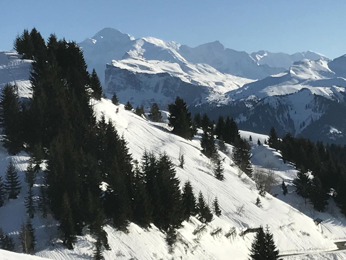 Résidence Les Chardons Argentés 2 Samoëns Exterior foto