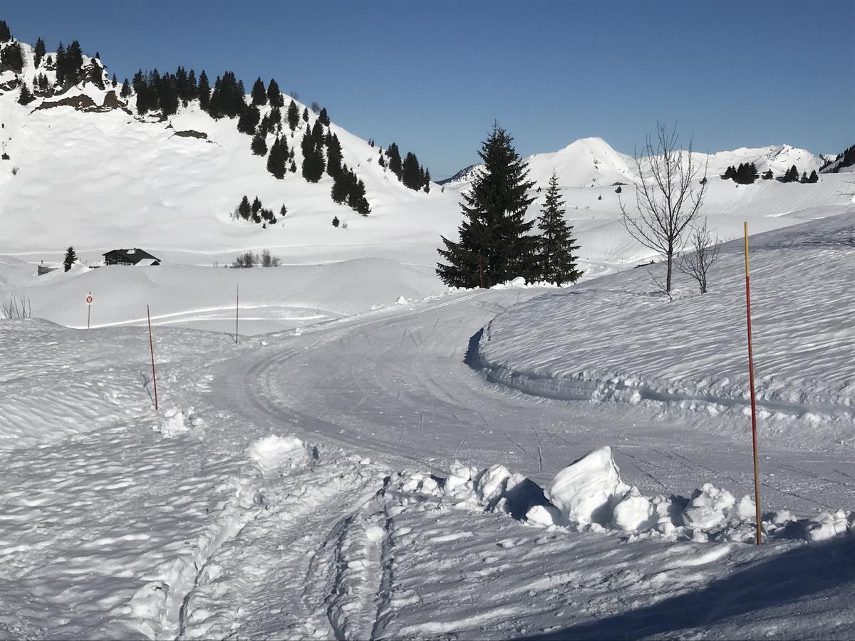 Résidence Les Chardons Argentés 2 Samoëns Exterior foto